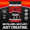 image:imageBody Fortress 100 Creatine Monohydrate Powder  Unflavored Micronized Creatine Supplement for Muscle Growth Strength amp Recovery Pre Workout amp Post Workout for Women and Men  5g Per Scoop600 grams