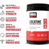 image:imageBody Fortress 100 Whey Premium Protein Powder Chocolate 178lbs amp Force Factor Creatine Monohydrate for Muscle Gain Strength Faster Recovery 60 Servings