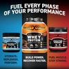 image:imageBody Fortress Electrolyte Powder Strawberry Lemonade  Rapid Hydration Drink Mix with 6 Essential Electrolytes amp 3 B Vitamins  Sugar Free Keto Friendly No Color Added Clear Hydration  30 ServingsStrawberry Lemonade